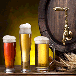 Serving a draft beer Serving a draft beer