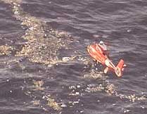 Photos du crash du MD-83 d'Alaska Airlines