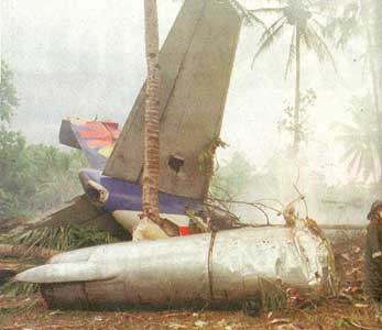 Photos of the Air Philippines Boeing 737 crash