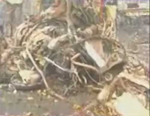 Photos of the Iran air force Hercule C130 crash