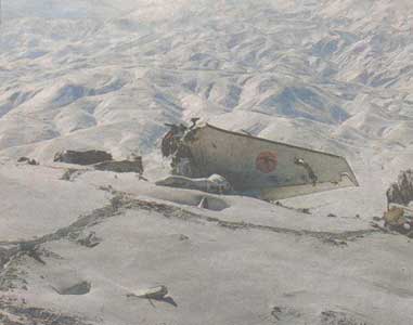 Photos of the Kam Air Boeing 737 crash