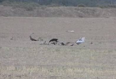 Photos of the Itek Air Boeing 737 crash