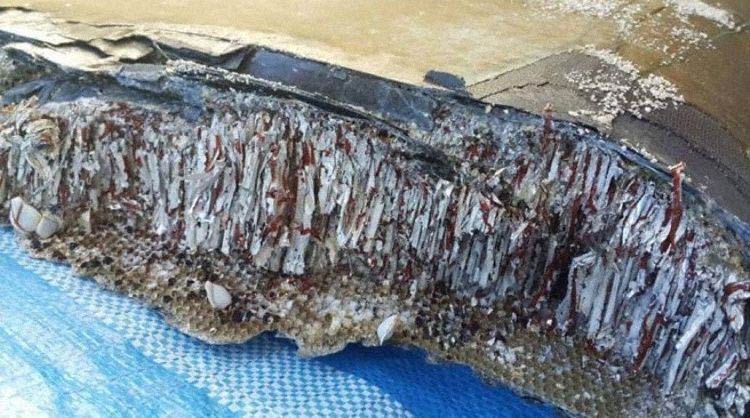 Photos du crash du Boeing 777 de Malaysia Airlines