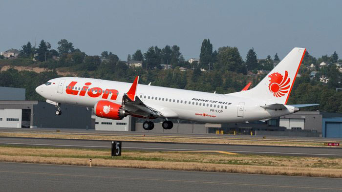 Aircraft similar to the one which crashed (Boeing 737-800MAX)