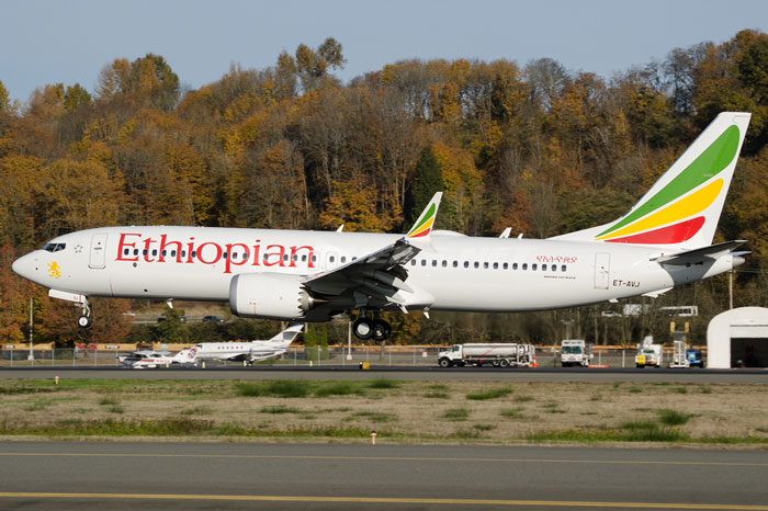 Boeing 737-800MAX Aircraft similar to the one which crashed (Boeing 737-800MAX)