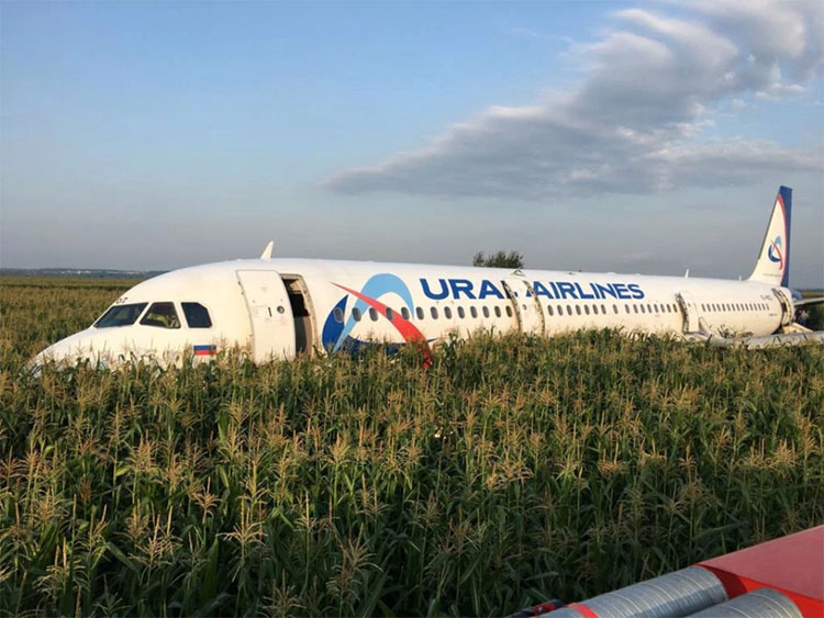 Photos du crash de l'Airbus A321 d'Ural Airlines