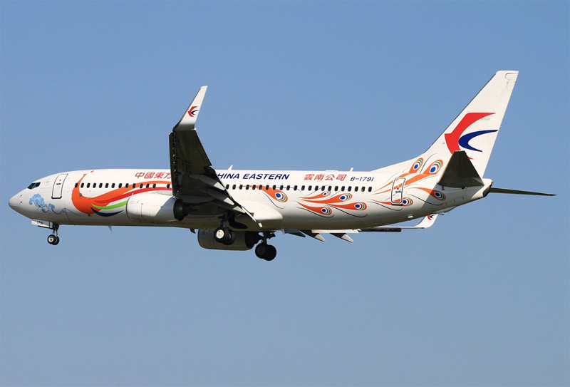Aircraft similar to the one which crashed (Boeing 737-89P)