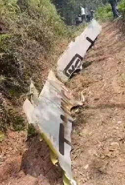 Photos du crash du Boeing 737 de China Eastern Airlines