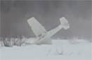Un Cessna 172 équipé de skis s'écrase au décollage d'une piste enneigée
