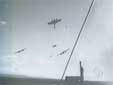 Collision en vol de deux warbirds pendant la seconde guerre mondiale