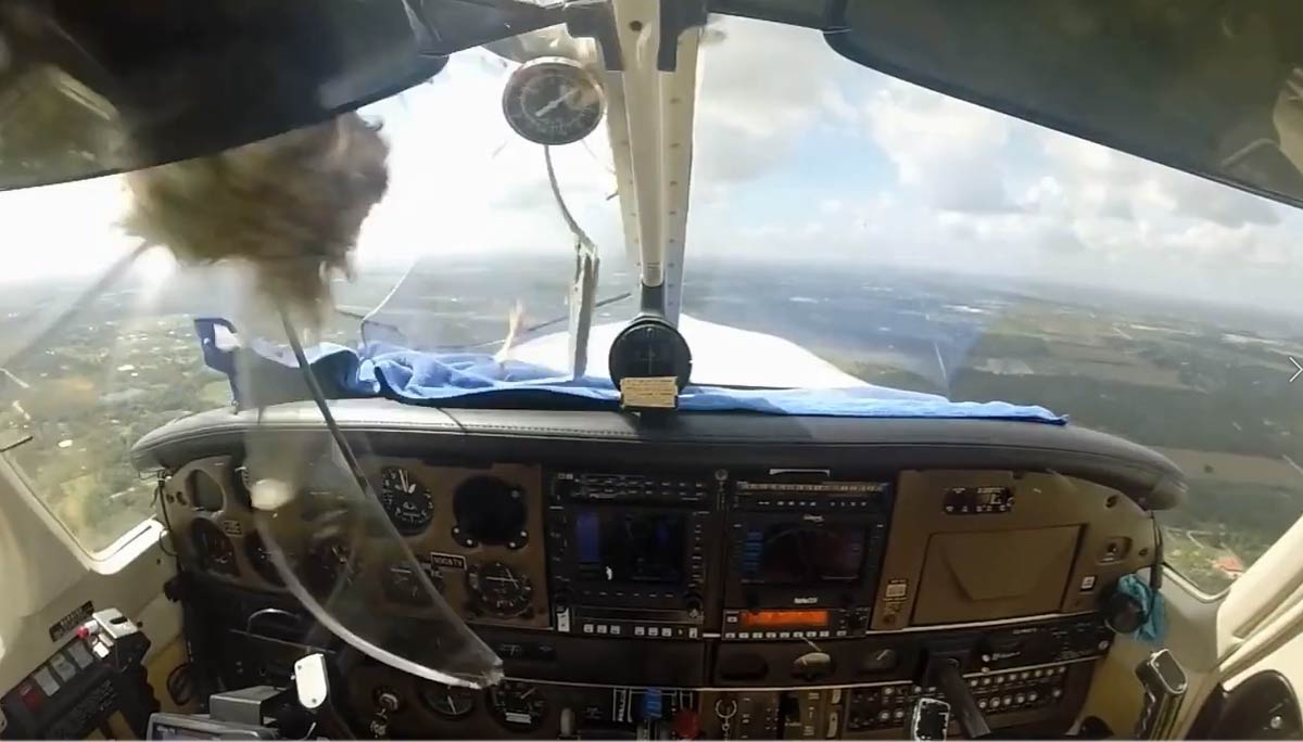 Bird strike destroys airplane windshield