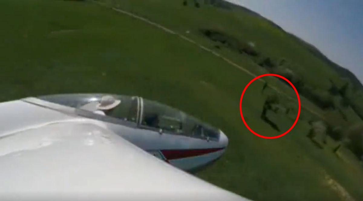 Le planeur accroche un arbre avec son aile, et pique vers le sol