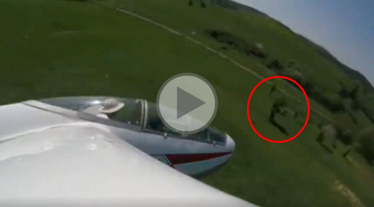 The glider clips a tree and nosedives into the ground
